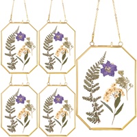 Cadres flottants en verre en forme de polygone, décor mural en métal pour fleurs séchées pressées, photos, timbres et collages pour chambre à coucher