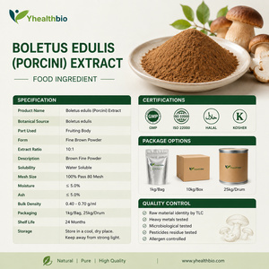 Extracto Natural de Hongo Boletus Edulis, Extracto de Porcini en Polvo, Extracto de Planta, Suministro con Especificaciones Personalizadas - Product Image 2