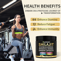 Ausreson Complexe Shilajit Tout-en-un en Capsules avec Ashwagandha, Curcuma, Ginkgo, Rhodiola Rosea, Ginseng Rouge Coréen Panax et Shilajit