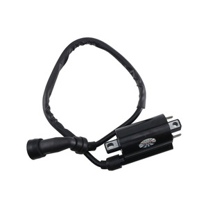 Bobine d'allumage de moto haute pression pour Haojue Suzuki <span class=keywords><strong>Delphi</strong></span> System Straddle Type Moto Modifier Pièce Remplacer Accessoire - Product Image 3