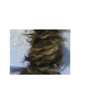 ผมหางควายสำหรับการทำแปรง100% เดิมที่มีคุณภาพที่ดีที่สุดหางวัวผมสำหรับอินเดียหัตถกรรมสำหรับสินค้าขายร้อน - Product Image 3