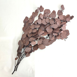 ดอกไม้ตกแต่ง<span class=keywords><strong>2023</strong></span>สำหรับตกแต่งบ้านยูคาลิปตัสที่เก็บรักษาไว้แอปเปิ้ลใบไม้ - Product Image 4