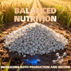 Fertilizzante Idrosolubile NPK 30-10-10 ad Alto Contenuto di Potassio <span class=keywords><strong>per</strong></span> l'Ingrandimento e l'Addolcimento della Frutta - Product Image 3