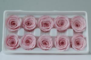 رؤوس زهور محفوظة مباشرة من مصنع Lovebay رأس ورود أحمر وأبيض وردي خالدة للأبد محفوظة إلى الأبد - Product Image 4