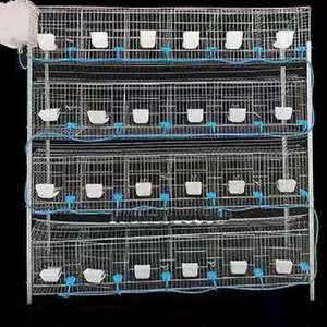 Casa de conejo de cría, caja de nido adjunta y jaulas de conejo, nuevo producto proporcionado, 12 jaulas de conejo, tubo de Metal de Filipinas, 1 Juego - Product Image 3