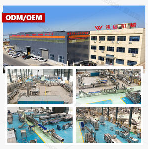 خط إنتاج رقائق البطاطس والكاجو والفول السوداني والسمك والفشار والدجاج من شيبودي مع مصعد - Product Image 2