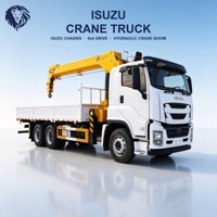 Grue télescopique montée sur camion Isuzu 4x2 de 10 à 15 tonnes avec grue de chargement