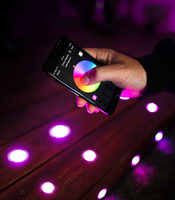 Lampes LED encastrées pour terrasse 30 mm basse tension, intelligentes WiFi RGBW 3000K, kit d'éclairage pour marches et escaliers, étanche pour terrasse, allée et aménagement paysager