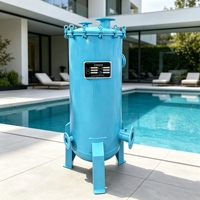 Filtre régénératif en perlite de haute qualité en acier inoxydable pour piscines enterrées