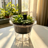 Pot de plante transparent élégant de style tulipe avec bord évasé et système d'irrigation passif pour la décoration de bureau