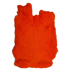 Bright Tangerine