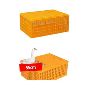 Commercio all'ingrosso della fabbrica nuova condizione di plastica gabbia di pollo grande fatturato scatola favorevole per la fattoria di trasporto di piccione coniglio uccello - Product Image 3