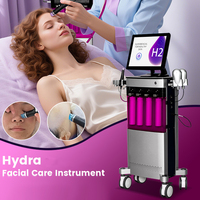 Appareil de beauté portable Hydro 10/8 en 1 pour dermabrasion à l'eau H2O2, machine de peeling facial à jet d'eau