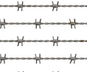 Clôture en fil barbelé de haute qualité, directement de l'usine, en acier galvanisé et en acier inoxydable - Product Image 2