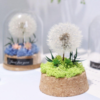 Bunga Dandelion Awet di Kubah Kaca, Rangkaian Bunga Abadi, Tanaman Kering Sentuhan Asli, Buatan Tangan, Kotak Hadiah Ulang Tahun & Hari Valentine