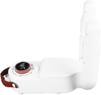 Séchoir à chaussures électrique portable, éliminateur d'odeurs, avec minuterie et arrêt automatique, design pliable pour l'hiver froid et humide