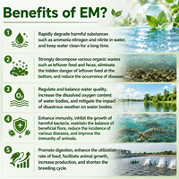 EM Micro-organismes Efficaces Probiotiques Amélioration du Sol pour Légumes, Fruits et Arbres de Jardin Engrais Bio Organique en Poudre Additif 10