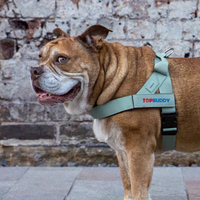 Harnais pour chien personnalisé en vert olive, facile à enfiler, avec sangles réfléchissantes, harnais réglable pour petites et moyennes races.