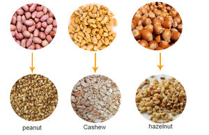 Machine à hacher multifonctionnelle pour pignons de pin et amandes, électrique, industrielle, pour noix de cajou brutes, à prix avantageux - Product Image 3