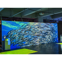 Grand écran de projection immersif interactif pour musée, aquarium et salle d'exposition
