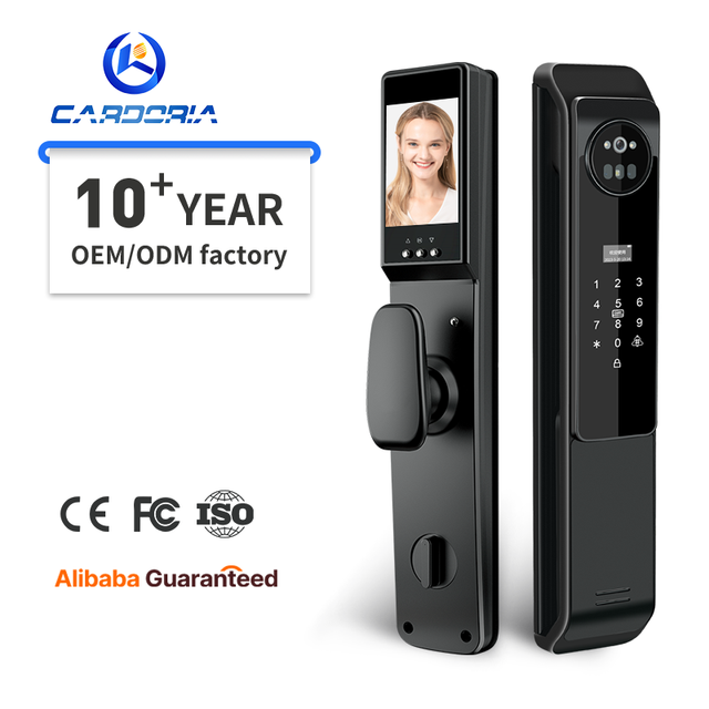 High-Security Smart Door Lock Anti-TheftTuya WiFi Biometric Electronic Fingerprint TTlock Intelligent Ttlock Door Locks