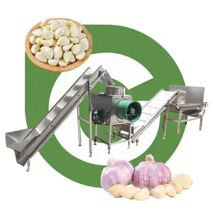 Automatic Complete Chain Driven Black Garlic Clove Peel Peeler Machine Product Line 500 Kg Weifang