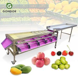 Máquina Clasificadora Automática de Frutas por Tamaño: Arándanos, Aguacates, Dátiles, Cerezas, Patatas, Aceitunas, Manzanas, Tomates y Cebollas - Product Image 1