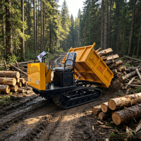 Mini-chargeuse sur chenilles haute performance avec benne, boîte de vitesses et roulement, capacité de benne 1,5 tonne, garantie 1 an, Euro5/EPA