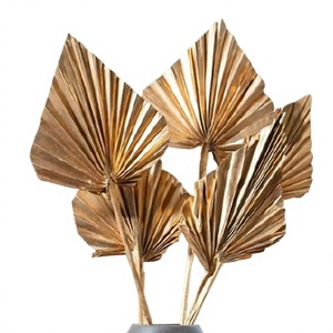 Prix d'usine Grandes feuilles de palmier tropicales séchées naturelles pour la maison, style bohème, Fête des Mères, Remise de diplôme - Product Image 1
