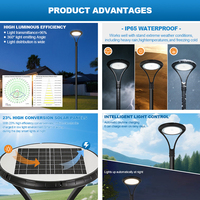 Lampadaire de jardin solaire LED extérieur personnalisé 30W en aluminium moulé sous pression IP65 étanche pour allées et rues, fourni directement par l'usine