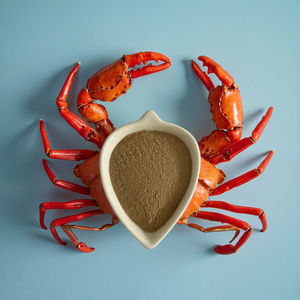 養殖用のBacillusSubtilisプロバイオティクス飼料添加物 (1kg) -魚とエビの成長、消化、免疫力を高める - Product Image 2