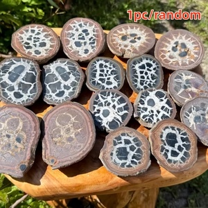 Venta al por Mayor de Losas de Piedra con Patrón de Tortuga Natural, Cuarzo Reiki Curativo de Buena Calidad para Colección de Hogar u Oficina - Product Image 4