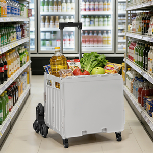 Carrinho de Compras Dobrável com Design de Suporte Oculto, Material PP, Estilo Minimalista, Fácil Limpeza, Ecológico, Recipiente para Alimentos de Cozinha - Product Image 6
