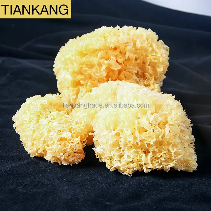 Tremella Kering Alami untuk Sup Jamur Putih