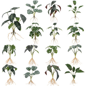 Plantes artificielles pour l'aménagement paysager des reptiles - Style forêt tropicale pour les grenouilles arbres, les geckos crêtés et les <span class=keywords><strong>enclos</strong></span> de tortues - Product Image 1