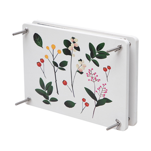 PUSELIFE Décoration d'intérieur DIY, fleurs et <span class=keywords><strong>feuilles</strong></span> d'<span class=keywords><strong>eucalyptus</strong></span> séchées pressées à la main pour la résine - Product Image 5