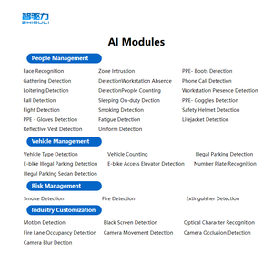 Hệ thống giám sát video phân tích hành vi CCTV thời gian thực với máy chủ thuật toán xử lý tầm nhìn ai để bảo mật và bảo vệ - Product Image 3
