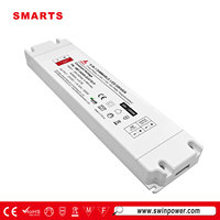 Certificat CE Alimentation Led Lumières Éclairage Plastique Électronique 12v 150w Led Transformateur 24v 200w LED Driver