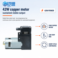 Compresseur d'air portable mini électrique 12V à piston, haute pression CC 550 kPa, débit élevé 40 L/min, OEM