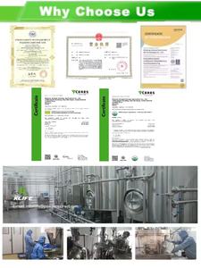 Klife estratto di tè verde sfuso <span class=keywords><strong>EGCG</strong></span> in polvere <span class=keywords><strong>90%</strong></span> organico 98% <span class=keywords><strong>EGCG</strong></span> - Product Image 6