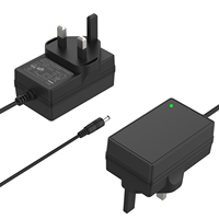 Chargeur rapide 12V avec alimentation électrique pour polisseuse, batterie 12V 5Ah avec protection OTP et OVP
