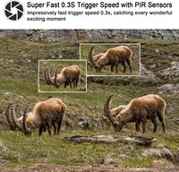 Bestok – caméra de jeu de chasse 16MP 1080P étanche, caméra de reconnaissance de chasse activée par le mouvement pour la surveillance de la faune