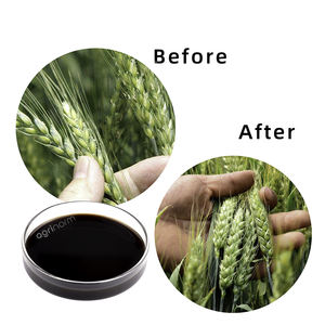 ייצור של ascophyllum nodosum דשן נוזלי תמצית אצות לגידול וגידול התשואה במצב נוזלי - Product Image 5