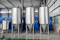 Cuve de Fermentation Conique en Acier Inoxydable de Haute Qualité 50T 60T 70T pour Bière