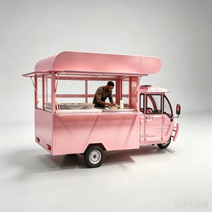 Carrito de Comida Plegable con Ruedas y Sistema Eléctrico para Venta de Helados, Café y Bocadillos - Product Image 6