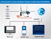 Station météo hors réseau professionnelle IoT OEM, RS485 LoRa LoRaWAN WiFi 4G, alimentée par énergie solaire, système de surveillance météo agricole