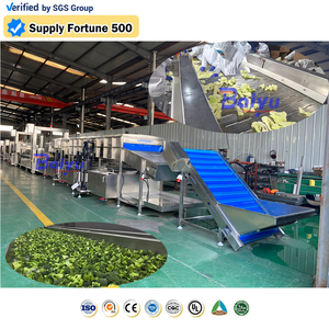 Ligne de lavage et de traitement des légumes industrielle Baiyu avec machine de nettoyage à bulles et de séchage pour usage en usine - Product Image 1