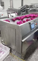 Industriële multifunctionele fruit- en groentesnijmachine, CE-gecertificeerd voor voedselverwerkingslijnen