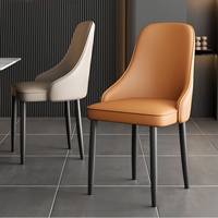 Chaise de salle à manger en métal minimaliste de luxe léger, démontable, pour petits appartements, maisons, hôtels, restaurants