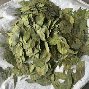 Großhandel Getrocknete Lorbeerblätter Ganze Laurus Nobilis Xiang Ye Kräuter zum Kochen Lebensmittelqualität Natürliche Lorbeerblätter in Großmengen - Product Image 2